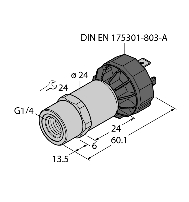 PT60R-1001-I2-DA91/X