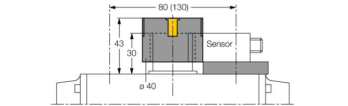 BTS-DS20-TK1