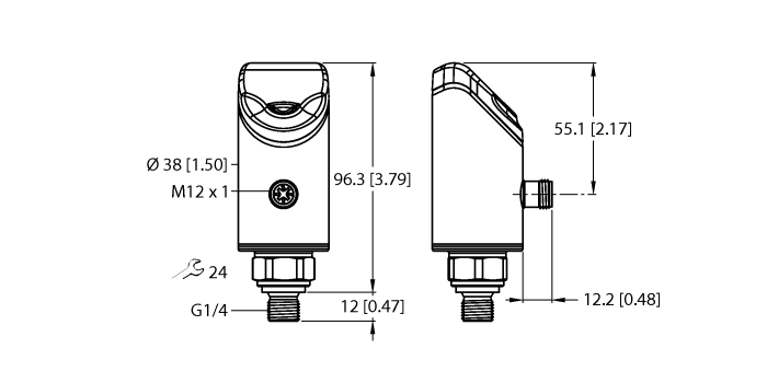 PS310-2.5V-04-LI2UPN8-H1141