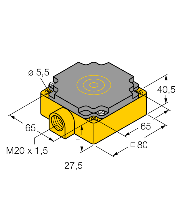 NI40-CP80-Y1/S97