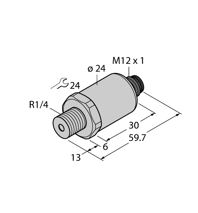PT25R-2010-IOL-H1141