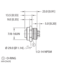 Thumbnail for RKF 57