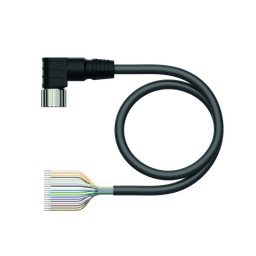 Thumbnail for CKWM19-19-2/TXL