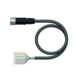 Thumbnail for CKM19-19-30/TXL