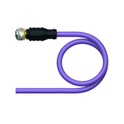 Thumbnail for RKSW451-10M