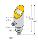 PS250R-304-LI2UPN8X-H1141