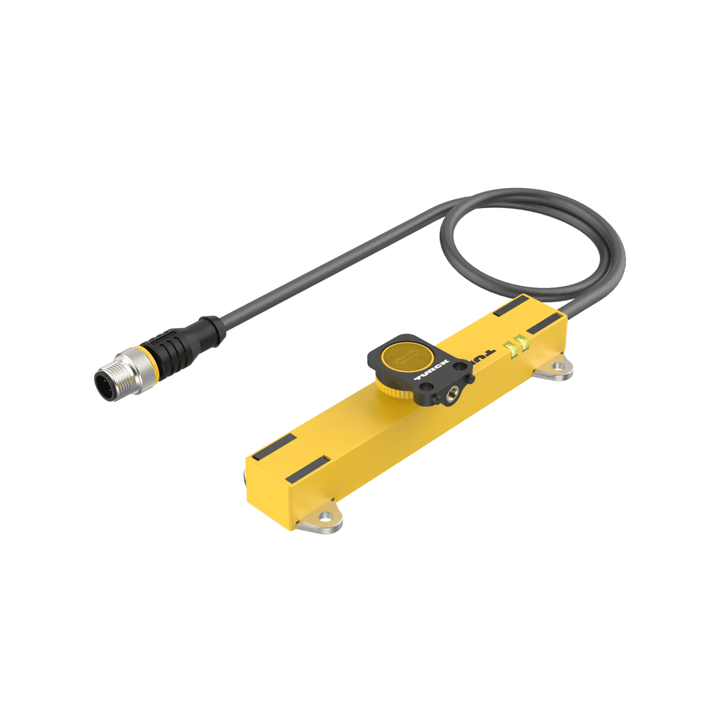 LI100P1-Q17LM1-LU4X2-0.3-RS5/S97